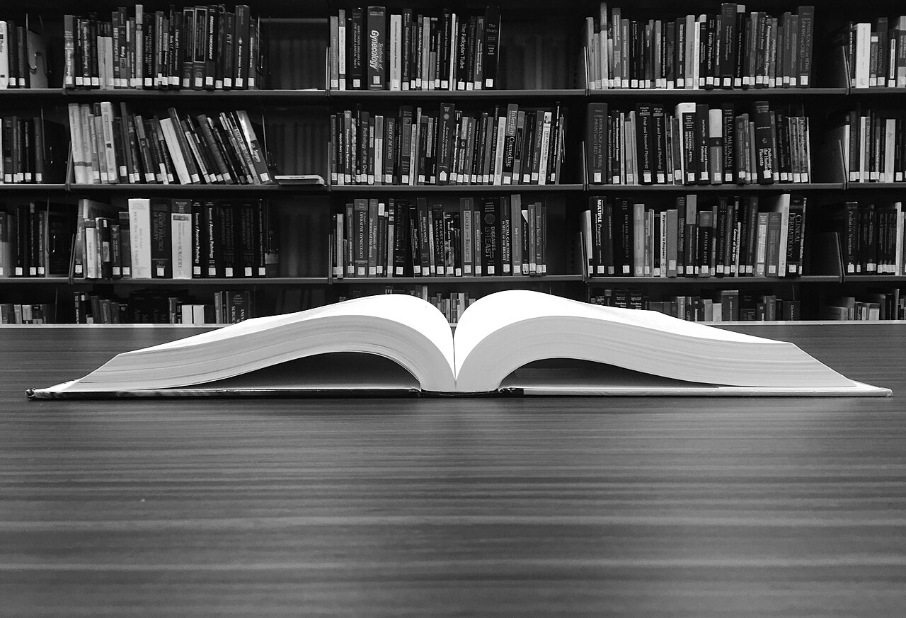 Раскрытая книга на столе перед книжными полками.